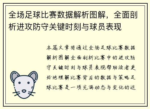 全场足球比赛数据解析图解，全面剖析进攻防守关键时刻与球员表现