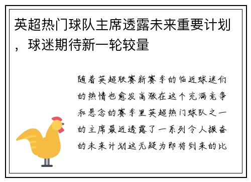 英超热门球队主席透露未来重要计划，球迷期待新一轮较量